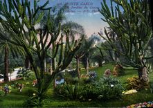 CPA Monte Carlo Jardins du Casino Cactus