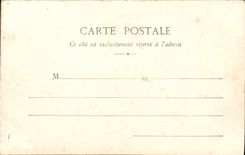 CPA Monte Carlo Groupe De Palmiers Les jardins