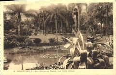CPA Monte Carlo Les Jardins du Casino La Petite Afrique