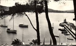 CPM Sanary Sur Mer La Jetee