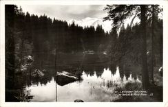 CPM Le Fayet le lac vert le Mont Blanc