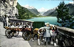 CPM Fluelen St Bernhard Zwinger Zwing Ur chiens St Bernard