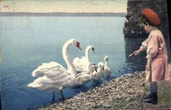 CPA Suisse Enfant Cygnes
