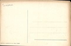 VINTAGE POSTCARD Lugano Paraoiso