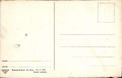 VINTAGE POSTCARD Utrecht Vischmarkt Puts Dom