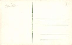 VINTAGE POSTCARD Lasunne Fountain Of the Fen And the Cathedral