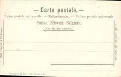 CPA Gruss Aus Meyringen Reichenbachfall Bei Meyringen