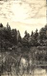 CPM Vittel L'Etang Des Fees