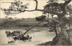 CPA Cote d'Emeraude La Guimorais Pres Rotheneuf Etude d'arbres au bois du Lupin