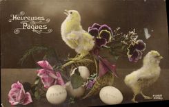 CPA Fantaisie Paques Poussins 