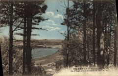 CPA Tregastel La Plage et Au Lointain le De