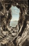 CPA Perros Guirec Grotte de Trestrignel
