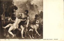 VINTAGE POSTCARD Tiziano Vecellio Come there Adonis Museo Del Prado Madrid Dogs Dog