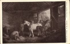 VINTAGE POSTCARD Interior Of has Stable Morland Chevaux