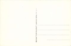 VINTAGE POSTCARD Luchon Road of the Lily and Spain and Tour of Castelviel