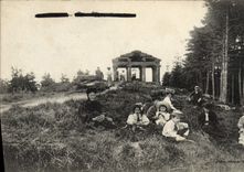 CPA Vosges Promeneurs