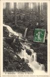 VINTAGE POSTCARD Gerardmer Brook De Merelle