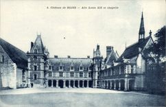 CPA Chateau De Blois Alle Louis XII Et Chapelle