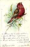 CPA Fantaisie Oiseau Rouge Gorge 
