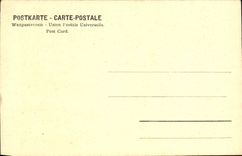 VINTAGE POSTCARD Royal Galleries Of Tables Cassel Avan Dyck Portrait of a man