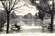 CPA Montpellir Jardins Esplanade