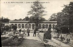 CPA Montpellir Jardin des plantes Les grandes serres