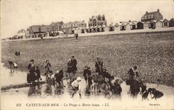 VINTAGE POSTCARD Cayeux On Mer the Beach has Maree Children