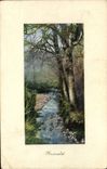 VINTAGE POSTCARD Ruisselet