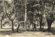 VINTAGE POSTCARD Martigny Les Bains Under the trees