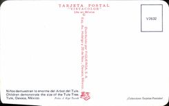 CPM Mexico Ninos demuestran lo Enorme del Arbol del Tule