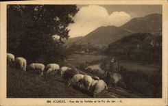 VINTAGE POSTCARD Heavy Sight of the Valley and the Peak of Jer Sheep