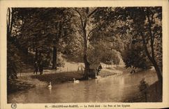 VINTAGE POSTCARD Trawl-nets on the Marne Small Jard Nau and Swans