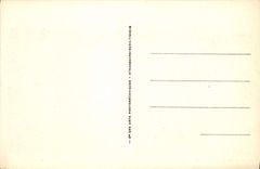 Opinión de Albi de la POSTAL de la VENDIMIA tomada de la catedral