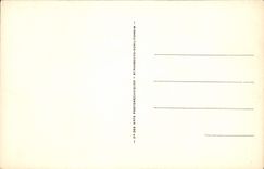 POSTAL Albi de la VENDIMIA el puente viejo y la catedral