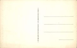 POSTAL Albi de la VENDIMIA la catedral co. Cecile el Apse