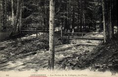CPA Gerardmer Les Pertes de la Vologne les Ponts