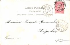 VINTAGE POSTCARD Bruges the Cow