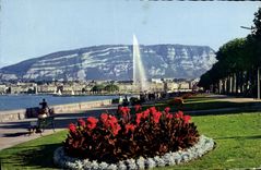 CPM Geneve Le Quai Wilson Et Le Jet d'Eau