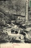 CPA Gerardmer Gorge Des Roitelets