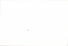 Photo Fete dans les rues (Nord) Annees 80