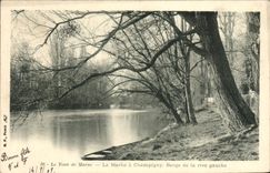 VINTAGE POSTCARD the Turn Of the Marne the Marne has Champigny Berge Of Left bank