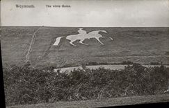 VINTAGE POSTCARD Weymonth The White House Horse