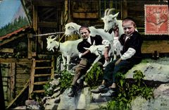 CPA Enfants Chevres Chevre