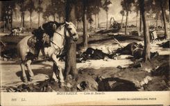 VINTAGE POSTCARD Hoffbauer Corner Of Battle Museum Of Luxembourg Paris Militaria