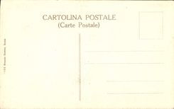 VINTAGE POSTCARD Roma Michelangelo Profeta Joel C Sistina