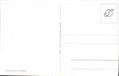 VINTAGE POSTCARD Geneva Seen Of the Pearl Of the Lake