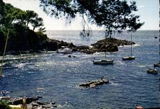 CPM Cote D'Azur Saint Raphael Contre Jour a La Calanque De Santa Lucia