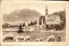 CPA Lourdes La basilique Et Le Pic Du Jer Moutons