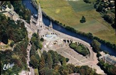 CPM Lourdes Vue Generale sur la basilique et le Gave