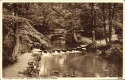 VINTAGE POSTCARD Newcastle upon the Tyne Jesmond Dene stepping stones